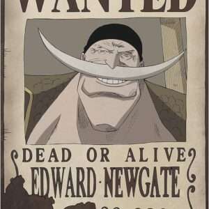 One Piece Poster Ricercato "Wanted Edward Newgate" 52 x 35 cm AbyStyle