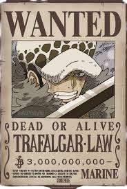 One Piece Poster Wanted Law Wano 52 x 38 cm Gbeye