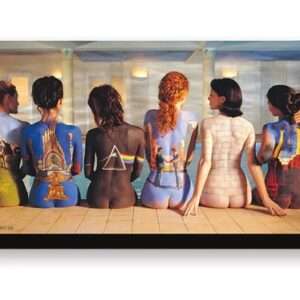 PINK FLOYD BACK ART FUNKY CHUNKY MAGNET MAGNETI AQUARIUS ENT