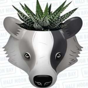 Plnthp02 - Harry Potter- Plant Pot - Harry Potter (tassorosso) Gadget