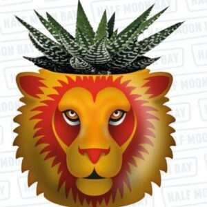 Plnthp04 - Harry Potter- Plant Pot - (harry Potter) Grifondoro Gadget