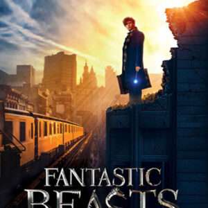 Puzzle Animali Fantastici - New York