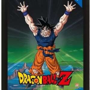 QUADRO 3D DRAGON BALL POWER LEVELS - GADGET