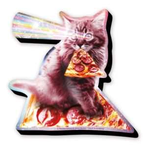 RANDOM GALAXY LASER CAT MAGNET Magneti Aquarius Ent