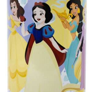 SALVADANAIO METALLICO DISNEY PRINCESS DISNEY PRINCESS - GADGET