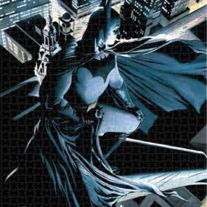 SD TOYS DC UNIVERSE BATMAN VIGILANTE PUZZLE PUZZLE