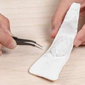 Sushi Anago Plastica Model Kit Model Kit Syuto Seiko