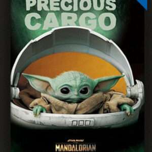 SW THE MANDALORIAN PREC.CARGO POSTER 3D 3D POSTER PYRAMID INTERNATIONAL