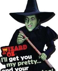 The Wizard Of Oz Funky Chunky Magnet I'll Get You... Aquarius