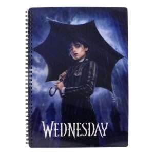 Wednesday Agenda Con 3d-effect Rain Sd Toys