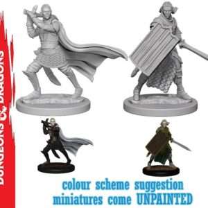 Wizkids Pathfinder Dcum Elf Male Paladin Gioco Di Ruolo