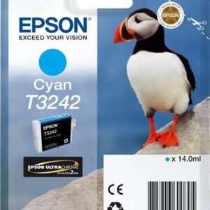 Cartuccia Originale Ciano (T3242)