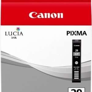 Cartuccia Originale Grigio (PGI-29GY)