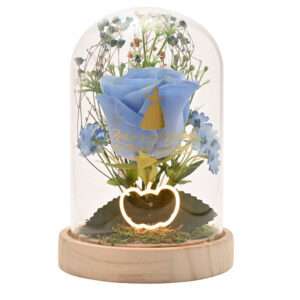 Disney Princess Cinderella Florals In A Clonche Con Neon Light Widdop & Co