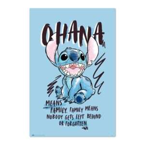 Disney Stitch Ohana poster Erik