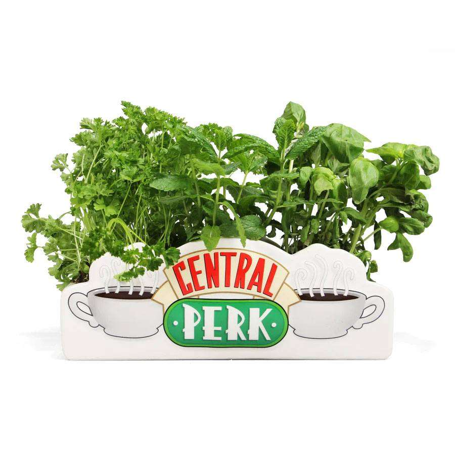 Friends Table Vase Central Perk Half Moon Bay