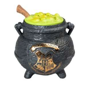 Harry Potter Potions Calderone Biscuit Box Erik