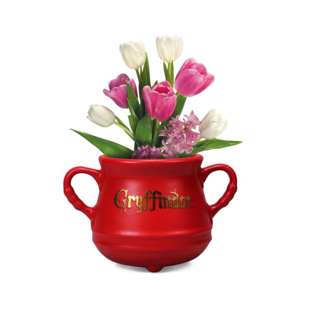 Hp Grifondoro Calderone Wall Vase Shaped Vaso Hmb