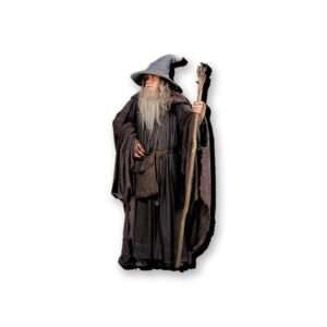 Il Signore Degli Anelli Gandalf Funky Chunky Magnet Magneti Aquarius Ent