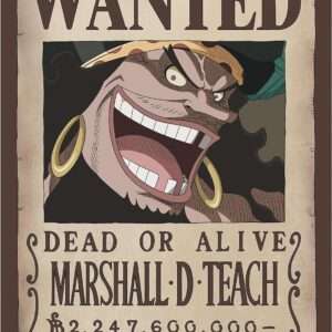One Piece - Poster Ricercato "Wanted Blackbeard" 52 x 38 cm AbyStyle