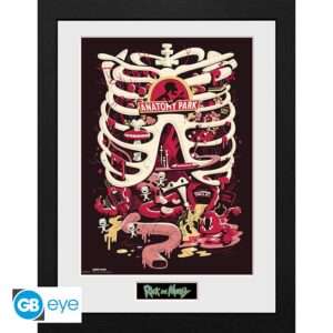 Rick E Morty Stampa Incorniciata "Anatomy Park" (30x40 Cm) GB Eye