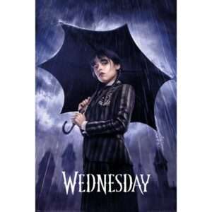 WEDNESDAY POSTERS ASSORTMENT BIN (40) Poster Pyramid International