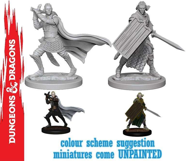 Wizkids Pathfinder Dcum Elf Male Paladin Gioco Di Ruolo