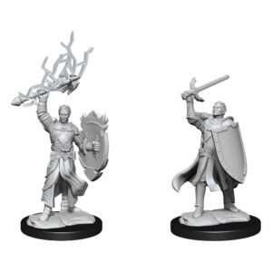 D&d Nolzur's Marvelous Miniatures Unpainted Miniatures Half-elf Paladin Male Case (6) Wizkids