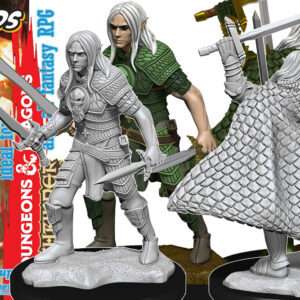 Pathfinder Dcum Elf Male Fighter 3 Miniature E Modellismo Wizkids