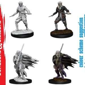 Wizkids Pathfinder Dcum Elf Male Rogue Miniature E Modellismo