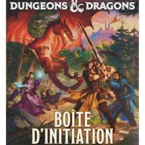 Dungeons & Dragons RPG Starter Set: Les Héros Des Confins Du Pays French Wizards of the Coast