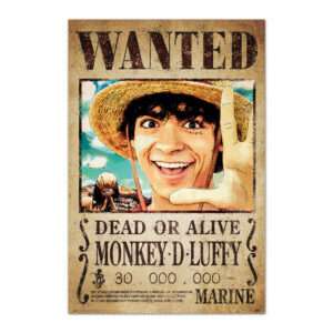 One Piece Wanted Monkey D. Luffy poster Erik