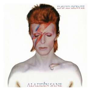David Bowie Rock Saws Jigsaw Puzzle Aladdin Sane (500 Pezzi) Phd Merchandise