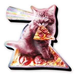 RANDOM GALAXY LASER CAT MAGNET Magneti Aquarius Ent
