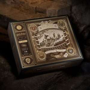 Harry Potter Multi-dimensional Puzzle (1000 Pezzi) Theory11