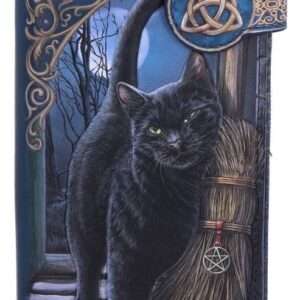 Lisa Parker Borsellino A Brush Con Magick Embossed 19 Cm Nemesis Now