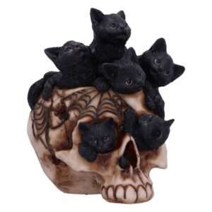 SKULL CRANIAL LITTER Figura Nemesis Now
