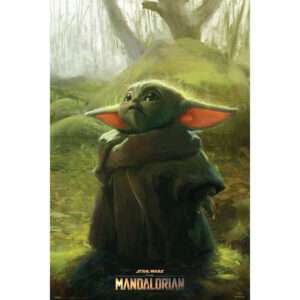 Star Wars The Mandalorian Baby Yoda poster Erik