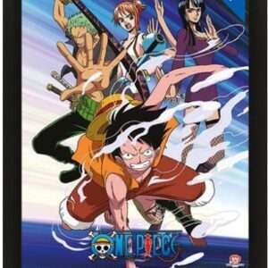 QUADRO 3D ONE PIECE PIRATES ANIME - GADGET