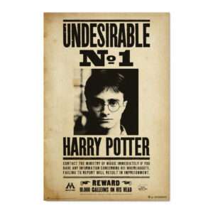Harry Potter Undesirable Number 1 poster Erik