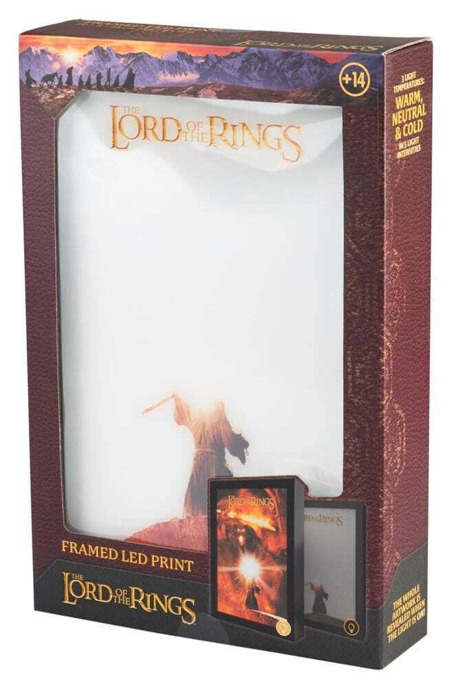 The Lord Of The Rings Framed LED Panel 28 X 20 Cm Grupo Erik